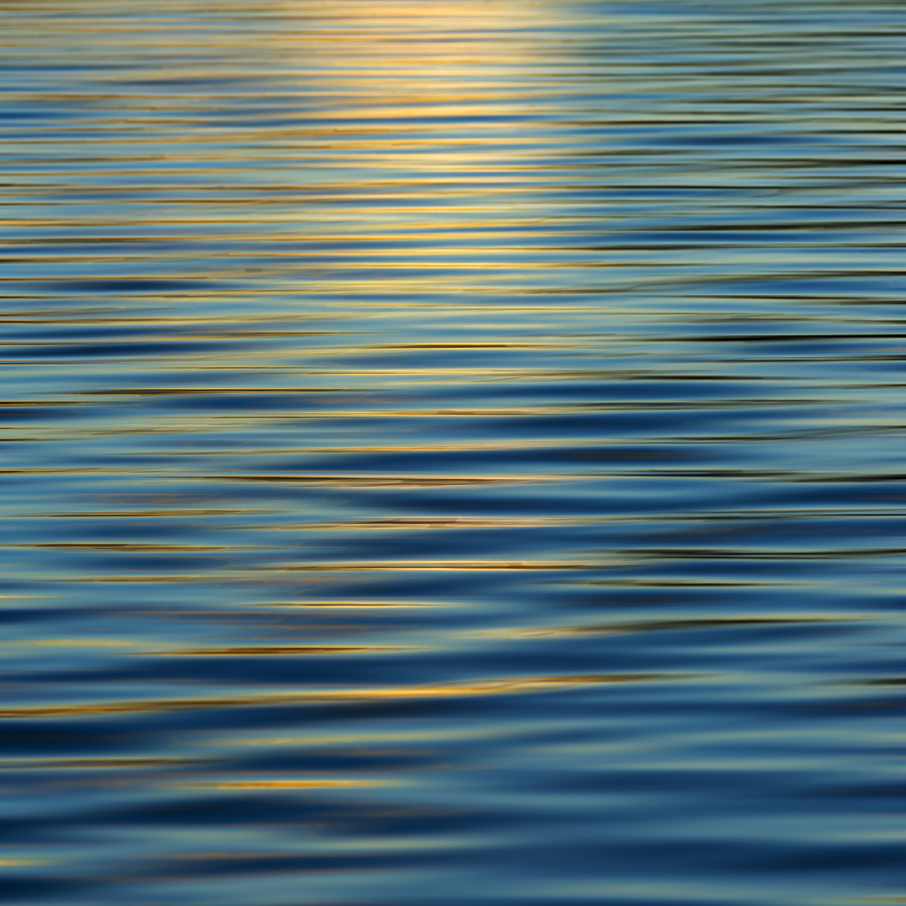 Sunset ripples, Walden Pond, Study 1