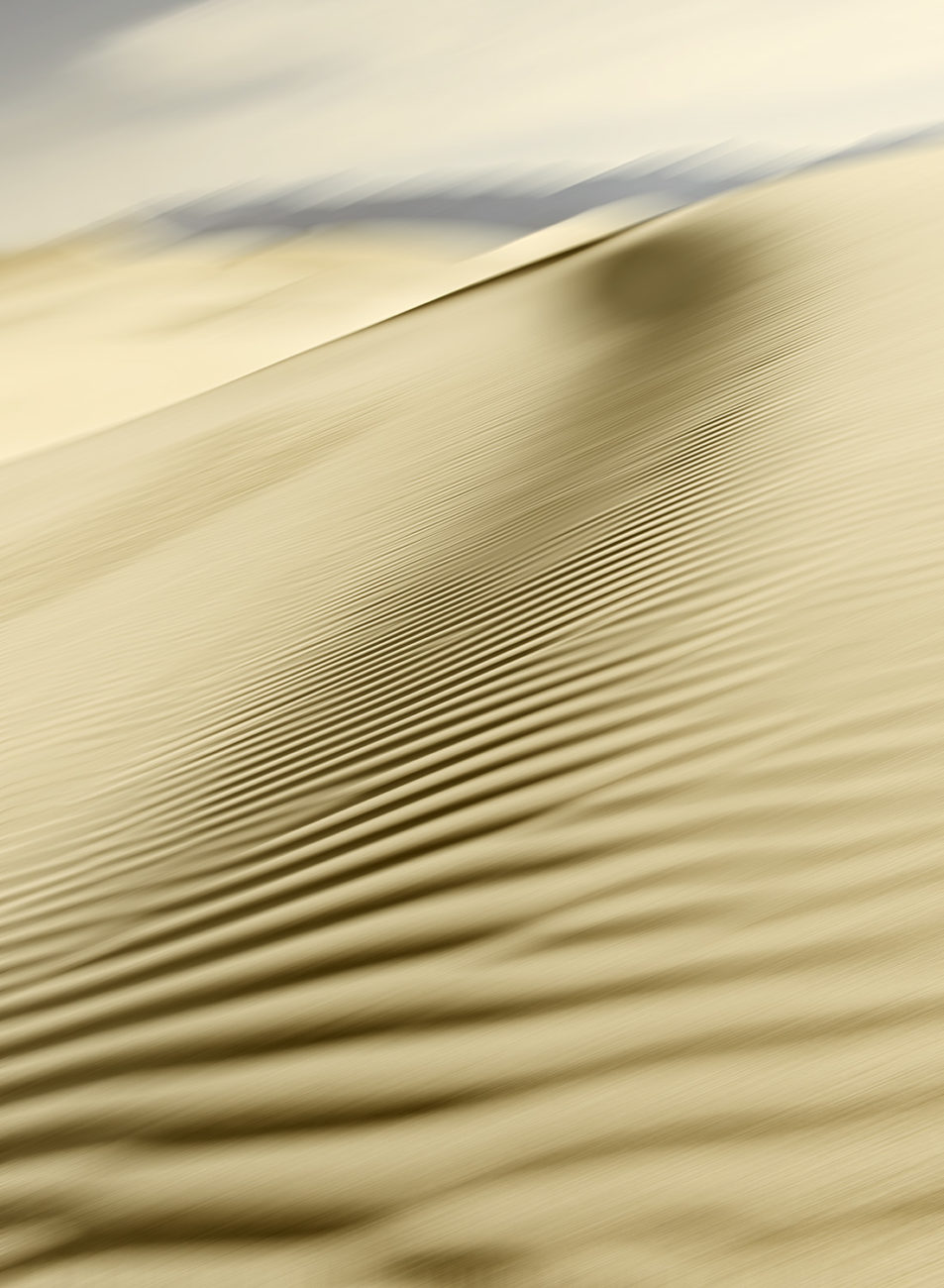 Shadow on the dunes, Death Valley, 2009