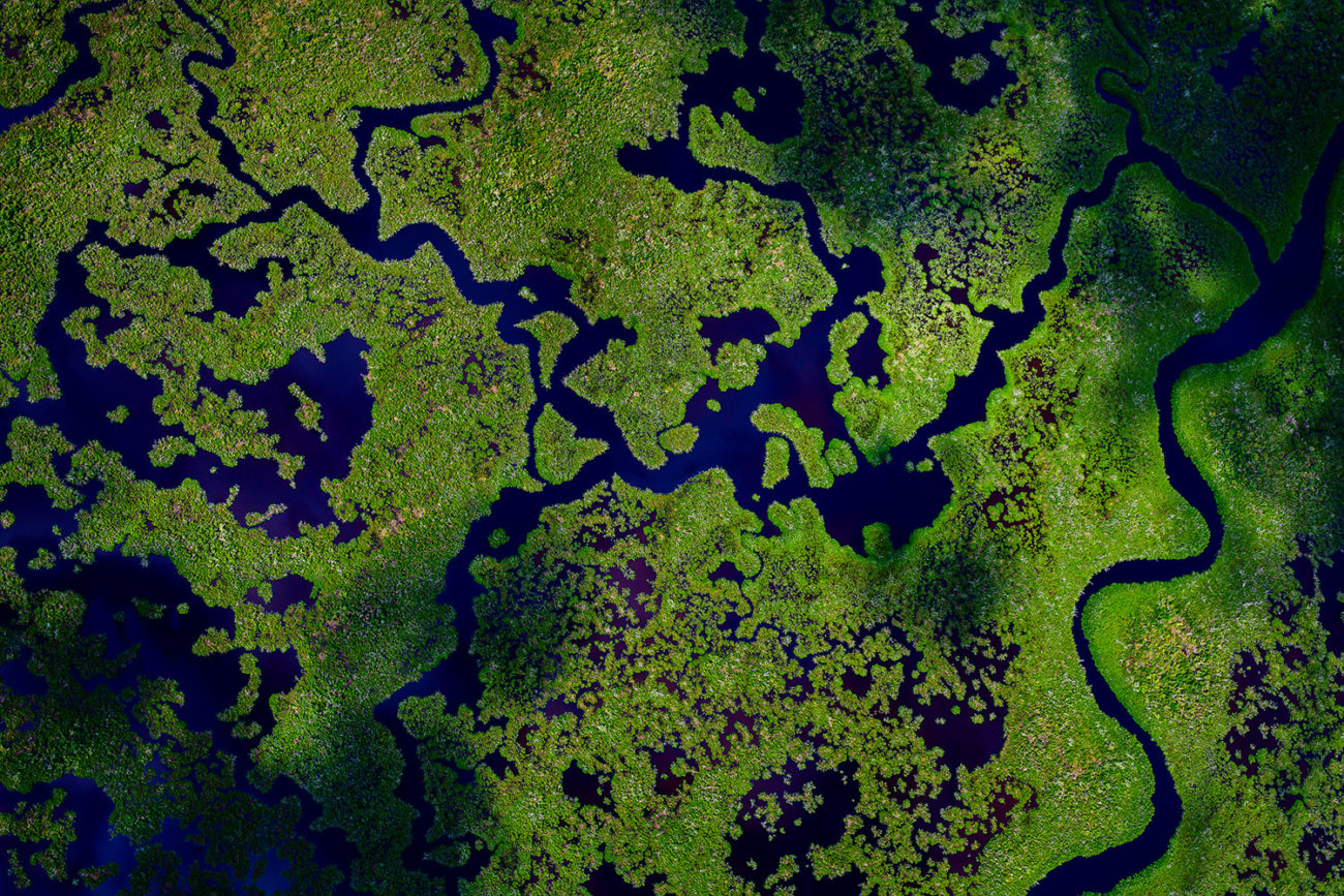 Everglades abstraction, study III, 2019