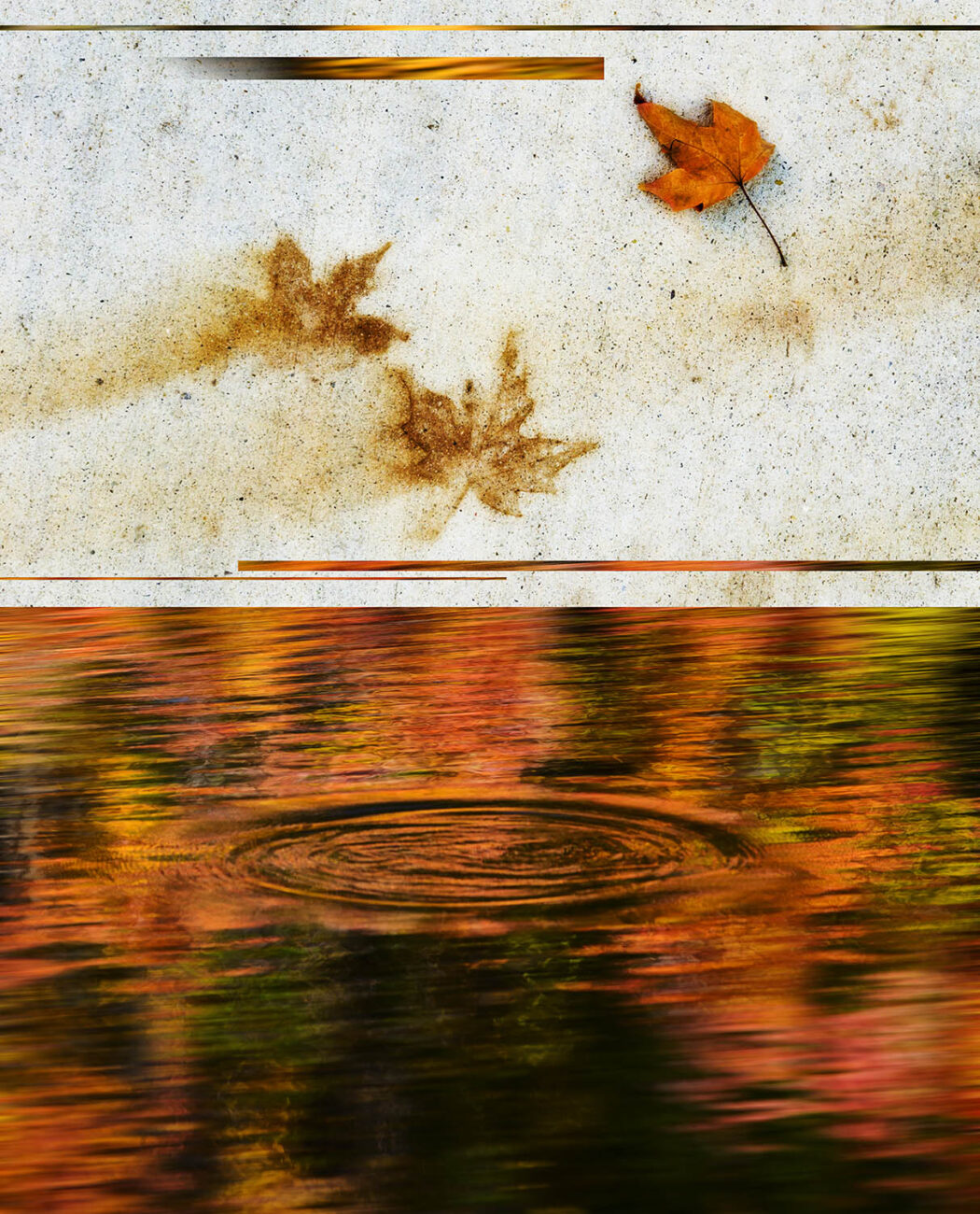 Autumn leaf patterns pavement, rising fish