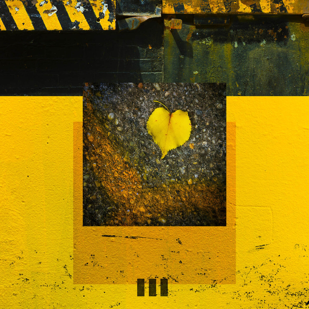 The yellow heart