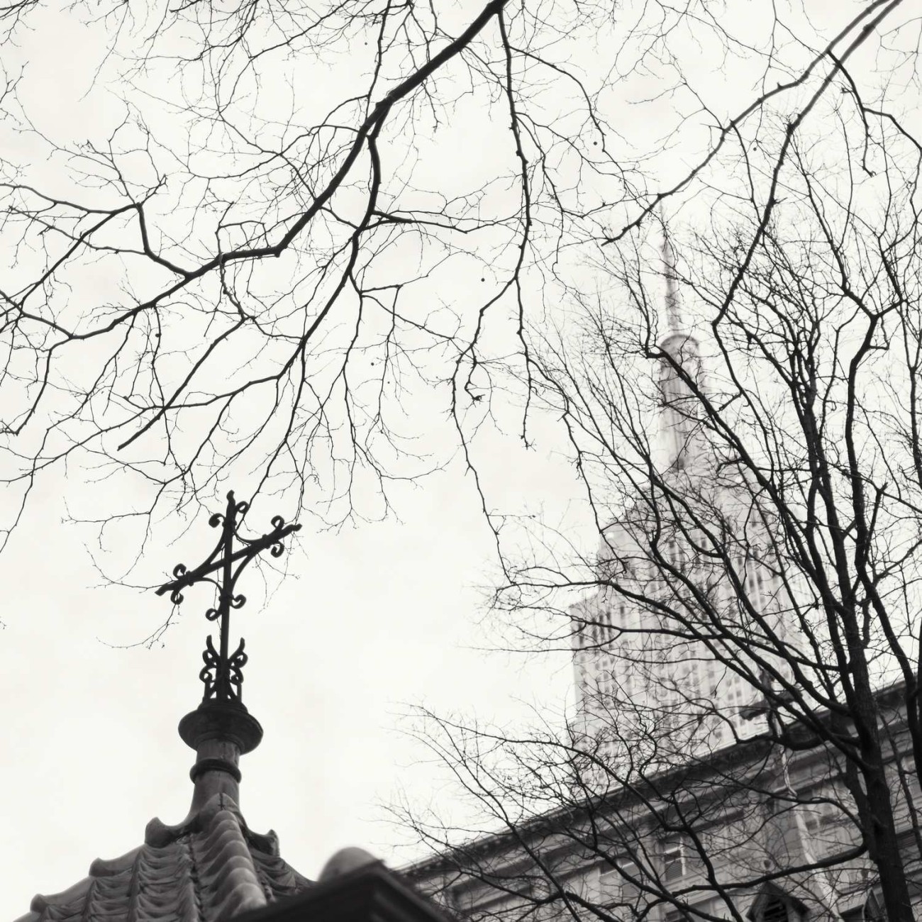 Two crosses and branches, New York, 2014