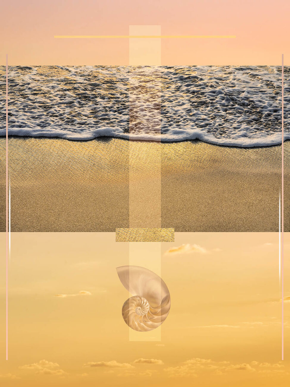 Beach, sunrise, nautilus shell