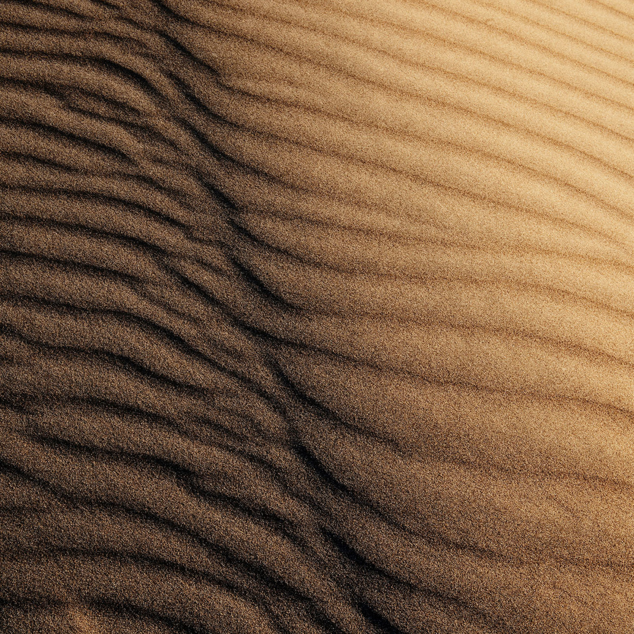Dune wind pattern, Death Valley