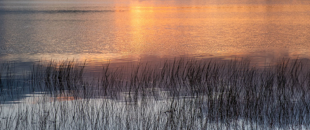 Everglades sunrise on Nine Mile Pond, 2019