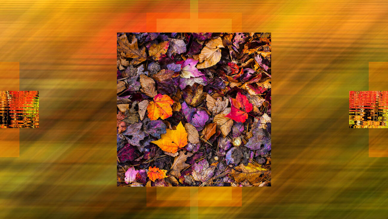 Autumn colors of Walden Pond