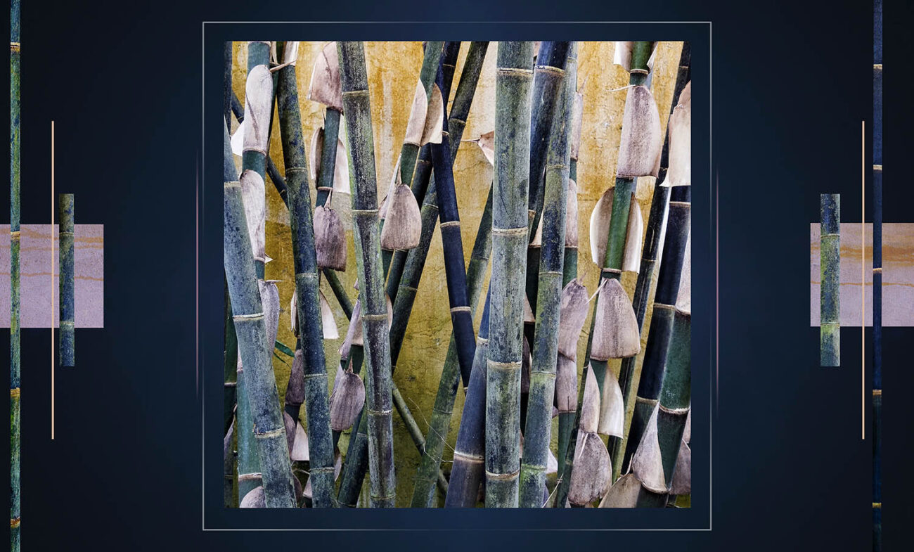 Bamboo stalks with blue sky